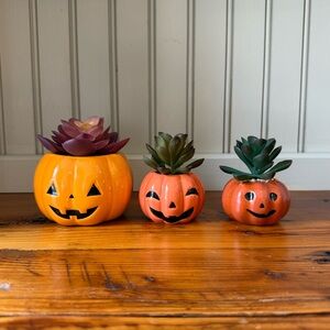 Set of Three Pumpkin Planters with Faux Succulents Jack-O-Lantern Halloween
